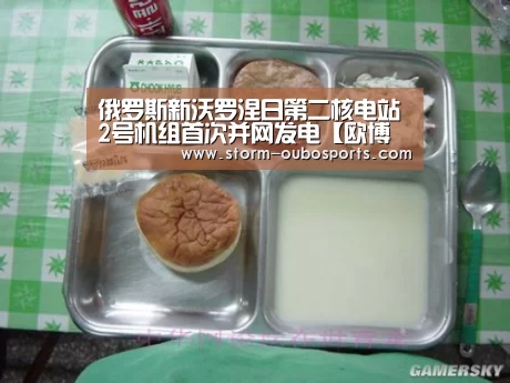 俄罗斯新沃罗涅日第二核电站2号机组首次并网发电【欧博游戏】(图3) 欧博ABG官网